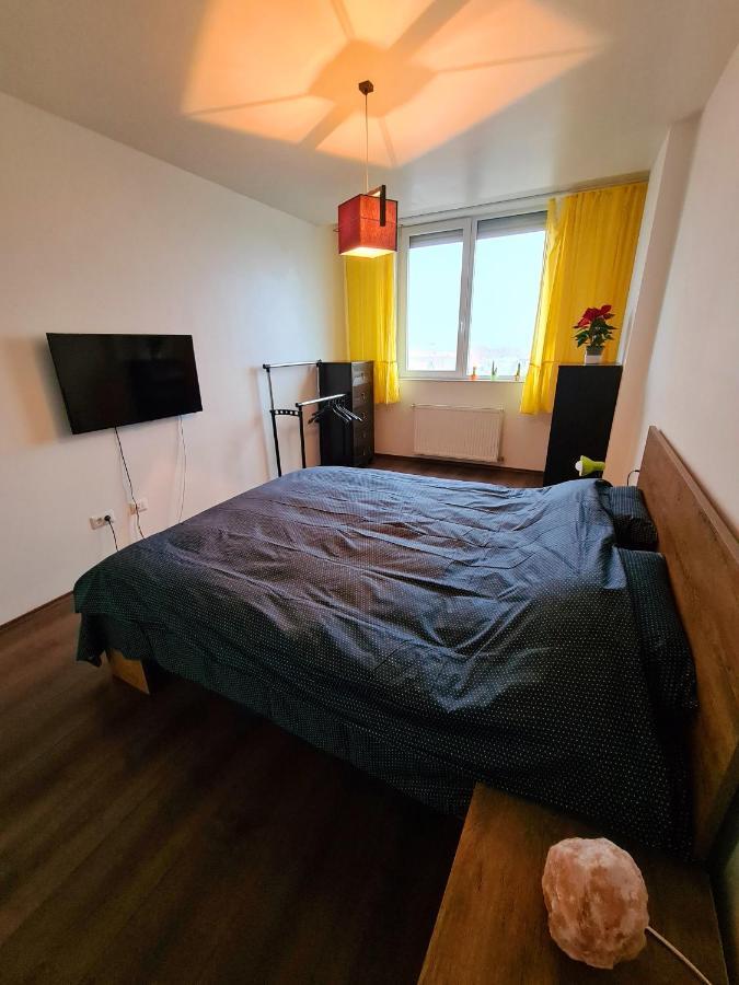 Cozy Apartment Arad Exterior photo